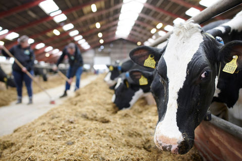 How Arla’s Climate Checks work