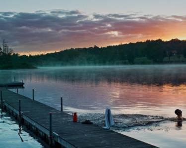 Arla and the UN Global Compact