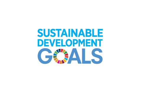 Graphic of UN goals