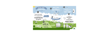 Infographic of the dairy journey