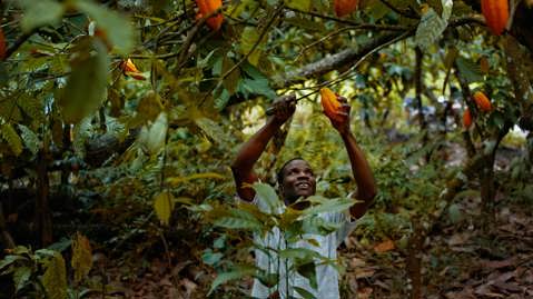 Responsible sourcing