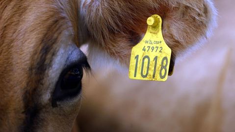 Traceability back to the farm