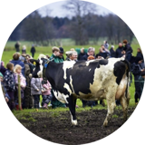 Making events a big deal