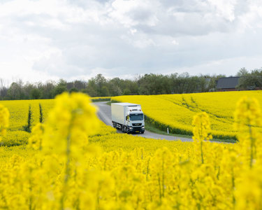 5-step sourcing process